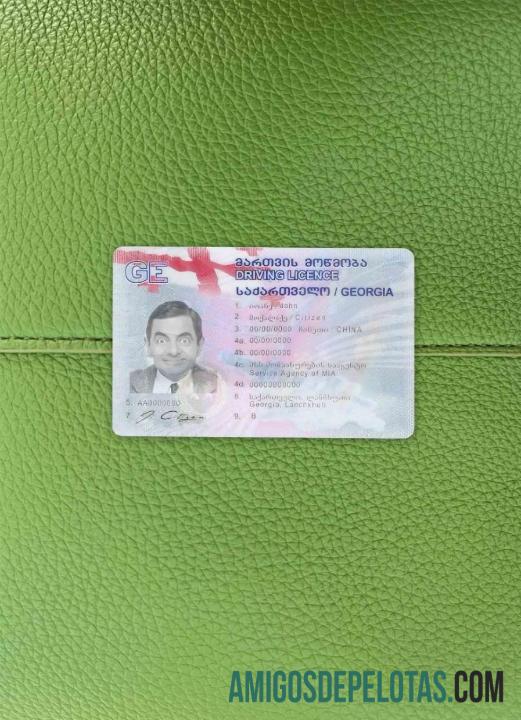 Georgia DL fotovisual frontal exemplo real